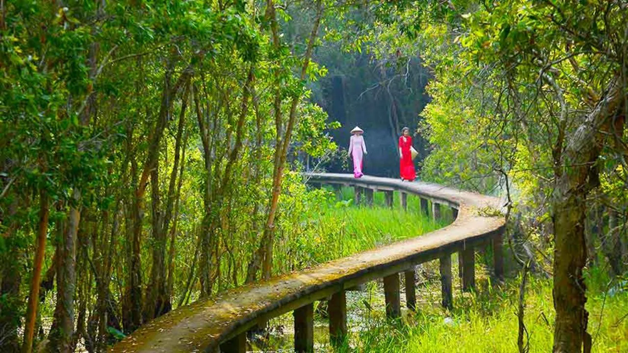 Thuê Xe Đi Long An Từ TPHCM: Giải pháp nhanh chóng đến cửa ngõ miền Tây