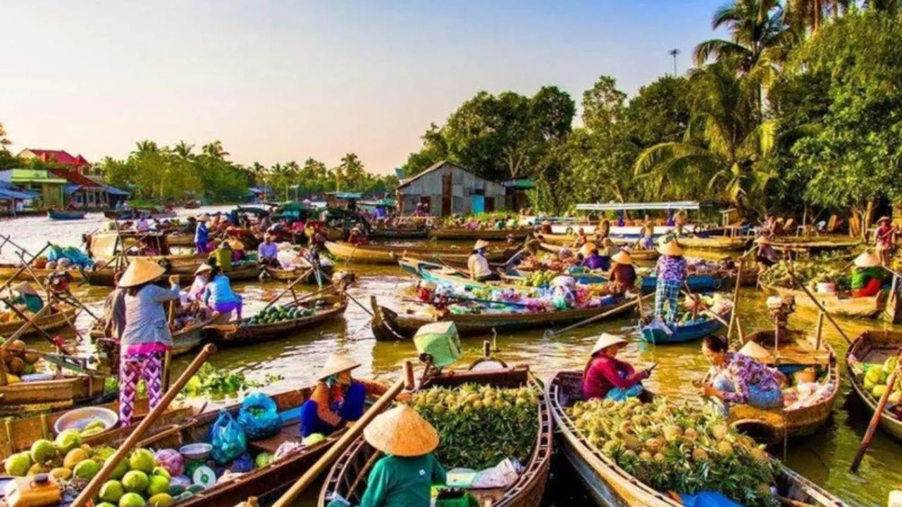 Thuê Xe Đi Cần Thơ Từ TPHCM: Tiện lợi đến thủ phủ miền Tây